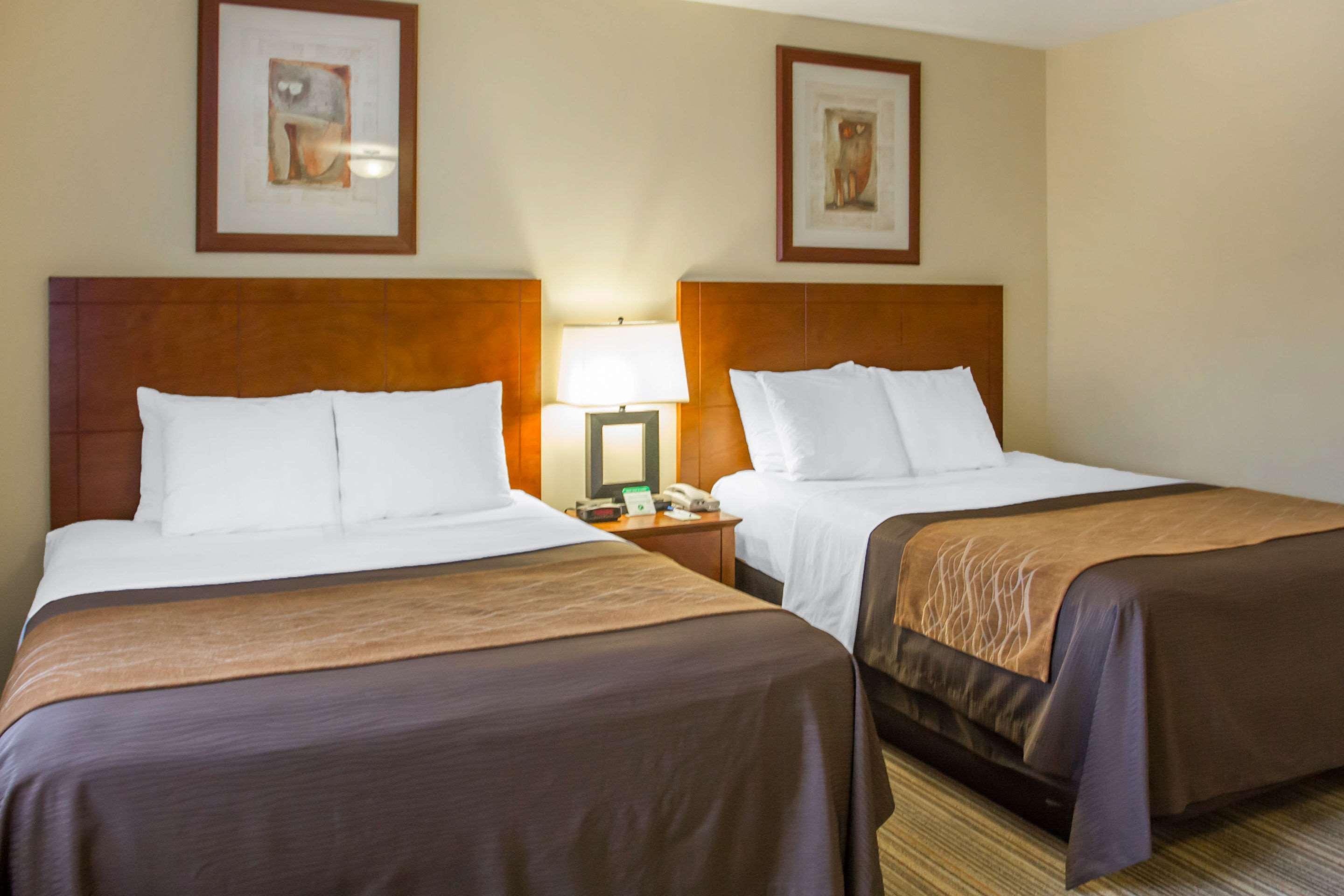 Comfort Inn Cockatoo Near Lax Airport Hawthorne Exterior foto