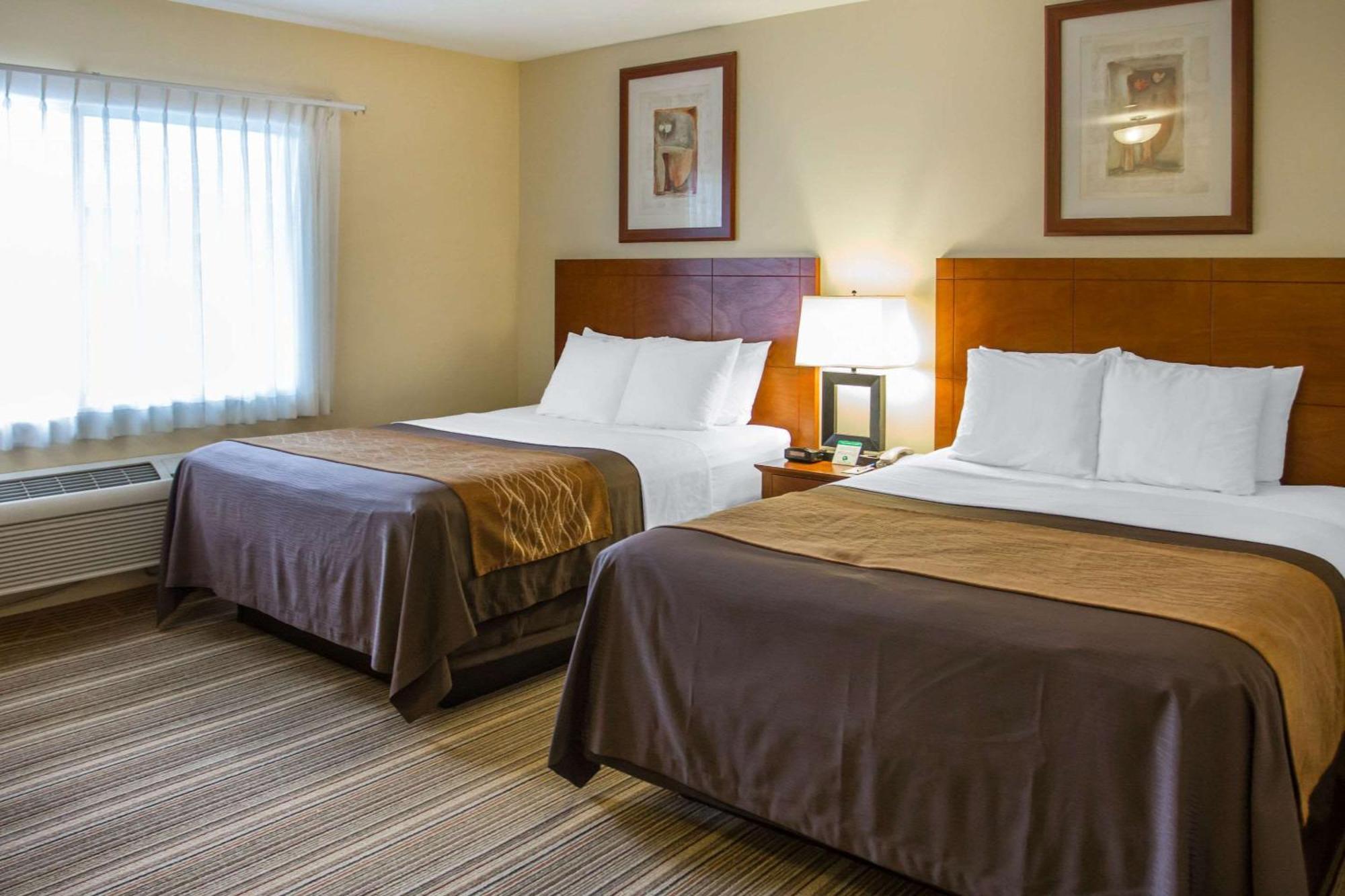 Comfort Inn Cockatoo Near Lax Airport Hawthorne Exterior foto
