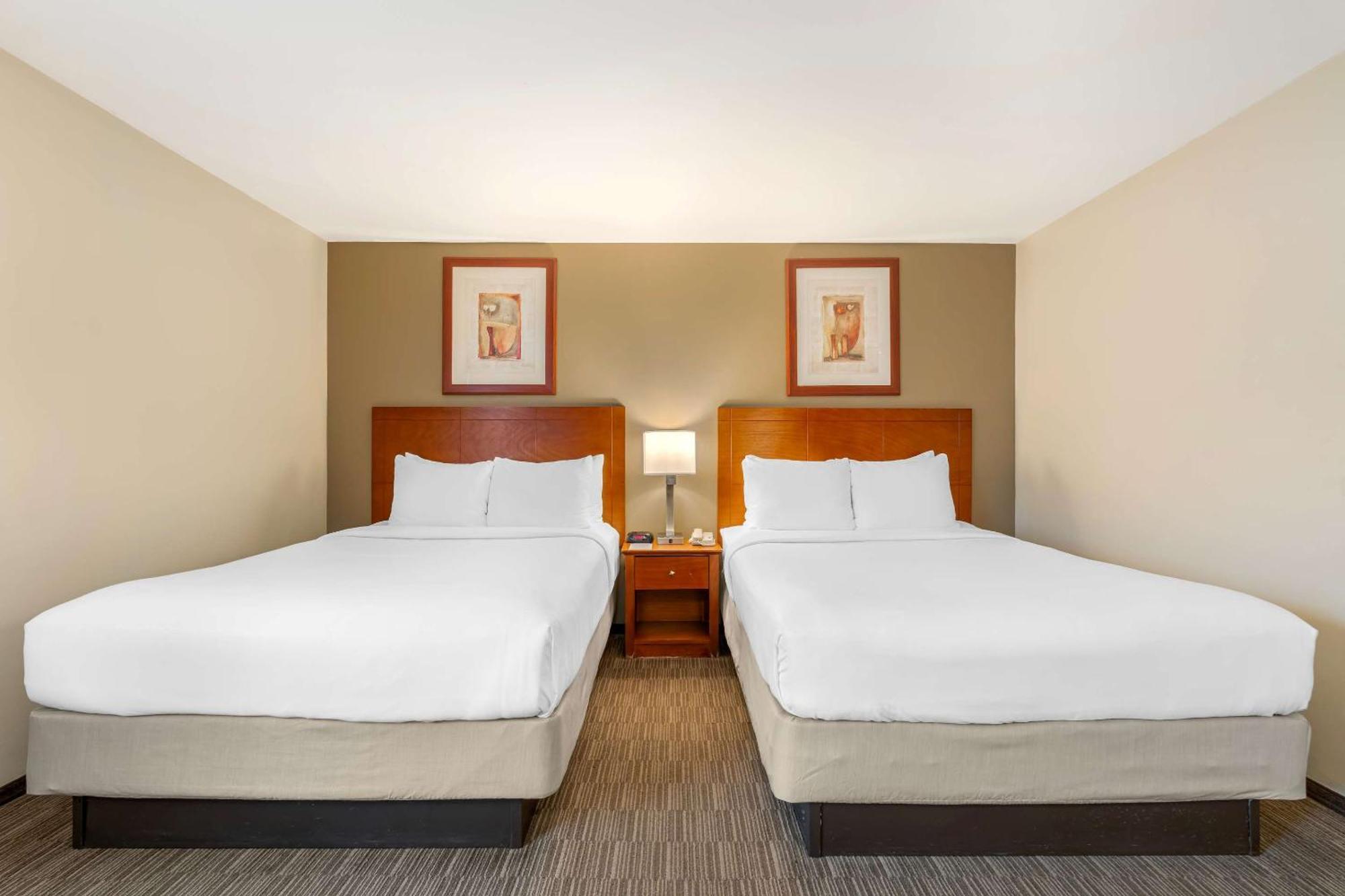 Comfort Inn Cockatoo Near Lax Airport Hawthorne Exterior foto